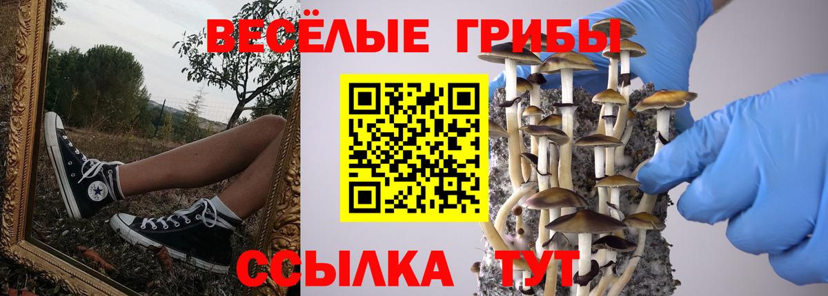Псилоцибиновые грибы прущие грибы  Вход с VPN  Нижний Тагил 